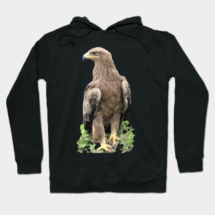 Eagle in Kenya / Afrika Hoodie